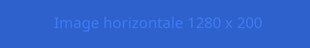 Visuel en cours de préparation